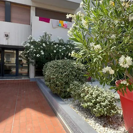 Avec Piscine Le Palace Centre Apartmán Perpignan
